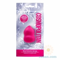 Blend Perfection Sponge