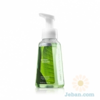 Rainkissed Leaves : Gentle Foaming Hand Soap