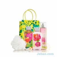 Sweet Pea : The All New Daily Trio Gift Set