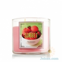 Strawberry Sorbet : 3-Wick Candle