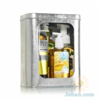 Meyer Lemon : Fresh Picked Tin Gift Set