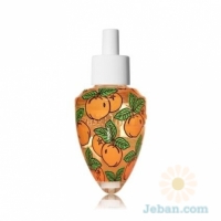 Market Peach : Decorative Wallflowers Fragrance Refills
