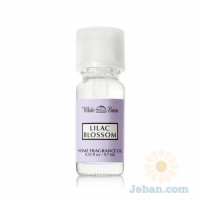 Lilac Blossom : Home Fragrance Oil
