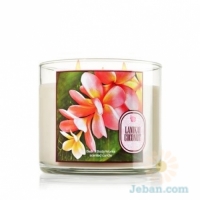 Lanikai Coconut : 3-Wick Candle
