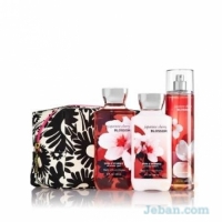 Japanese Cherry Blossom : Spring Blooms Gift Set
