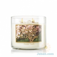Japanese Cherry Blossom : 3-Wick Candle
