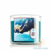 Island Waters : 3-Wick Candle
