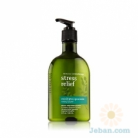 Stress Relief : Eucalyptus Spearmint Hand Soap