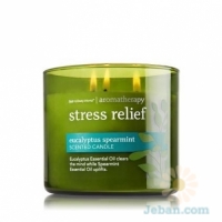 Stress Relief : Eucalyptus Spearmint 3-Wick Candle
