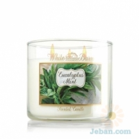 Eucalyptus Mint : 3-Wick Candle