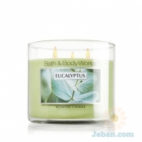 Eucalyptus : 3-Wick Candle