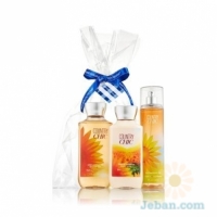 Country Chic : The All New Daily Trio