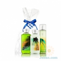 Coconut Lime Breeze : The All New Daily Trio