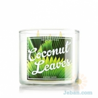 Coconut Leaves : 3-Wick Candle