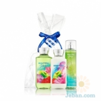 Beautiful Day : The All New Daily Trio