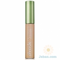 4in1 Concealer