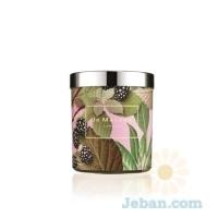 Home Collection : Blackberry & Bay Home Candle