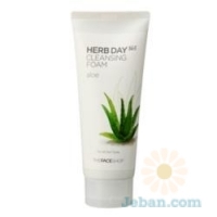 Herb Day 365 : Aloe Cleansing Foam