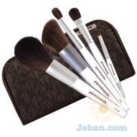 5-Piece Lucite Brush Collection