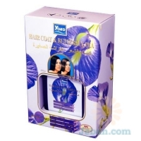 Hair Coat & Butterfly Pea