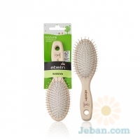 Wire Bristle Brush Wood