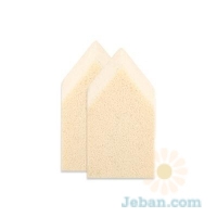 Peach : House Sponge