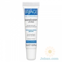 Bariéderm Lèvres
