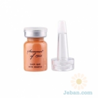 Quick Spot Acne Essence