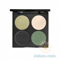 Palette 4 Pan : Composing Color