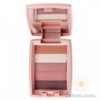 Shimmer Classic Multi Blusher Shadow