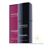 After-shave Moisturiser : Antaeus