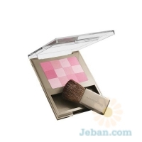 Healthy Skin : Blends