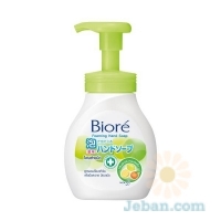 Foaming Hand Soap : Citrus Fragrance
