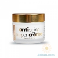 Anti Aging Support Creme