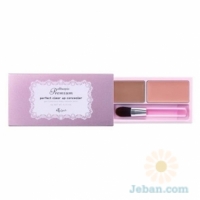 Premium Perfect Clear Up Concealer