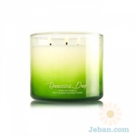 Beautiful Day : 3-Wick Candle