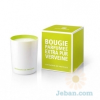 Scented Candle : Fresh Verbena