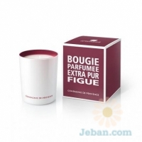 Scented Candle : Fig Of Provence