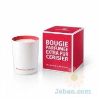 Scented Candle : Cherry Blossom