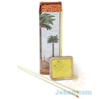 Brighton Collection Large Matches