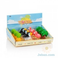 Tropical Lip Balm CDU