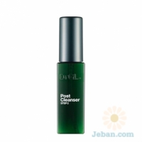 Post Cleanser Step 2