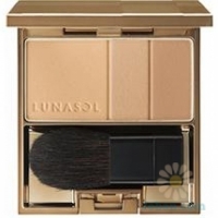 Autumn 2016 : Shading Cheeks N