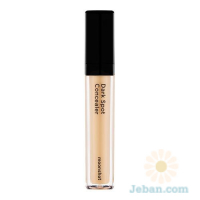 Perfection Dark Spot Concealer